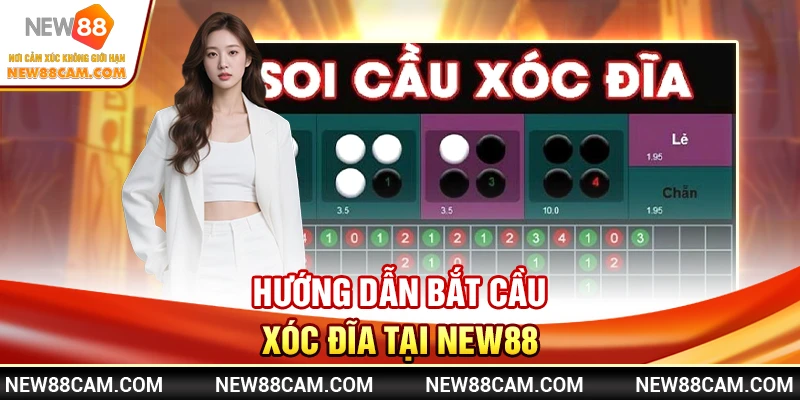 Hướng dẫn bắt cầu Xóc Đĩa tại New88