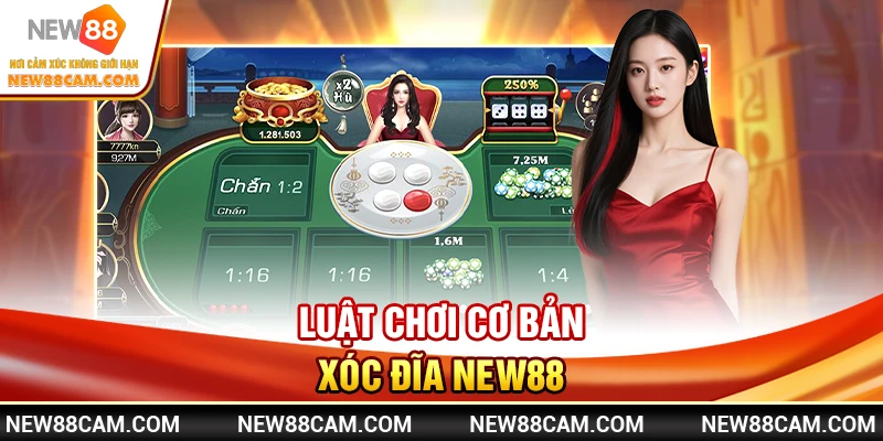 Luật chơi cơ bản Xóc Đĩa New88